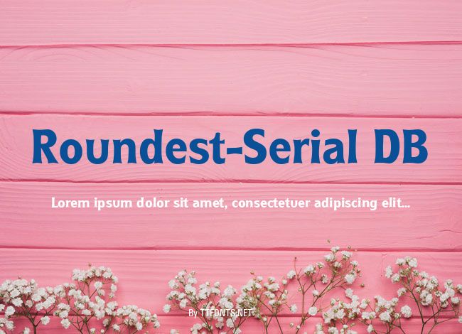 Roundest-Serial DB example